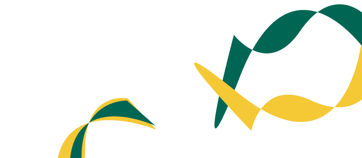 Expert Solutions for Corporate  Financial Success. - OD体育直播APP