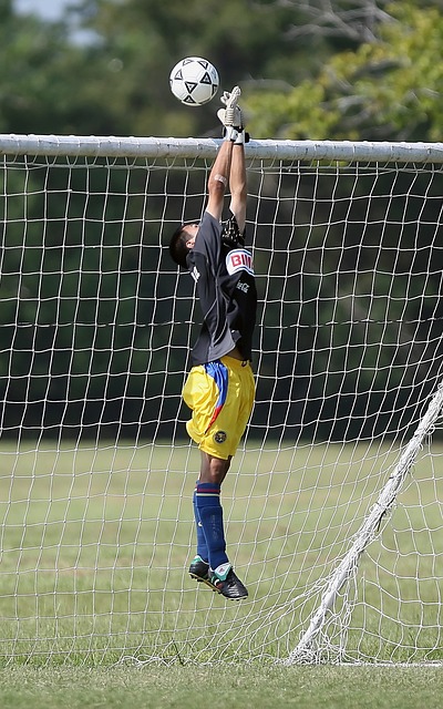 武漢隊過於 武漢隊過於